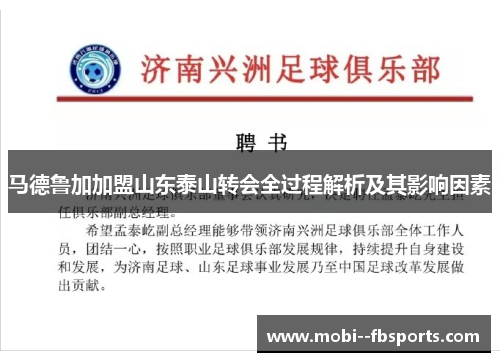 马德鲁加加盟山东泰山转会全过程解析及其影响因素